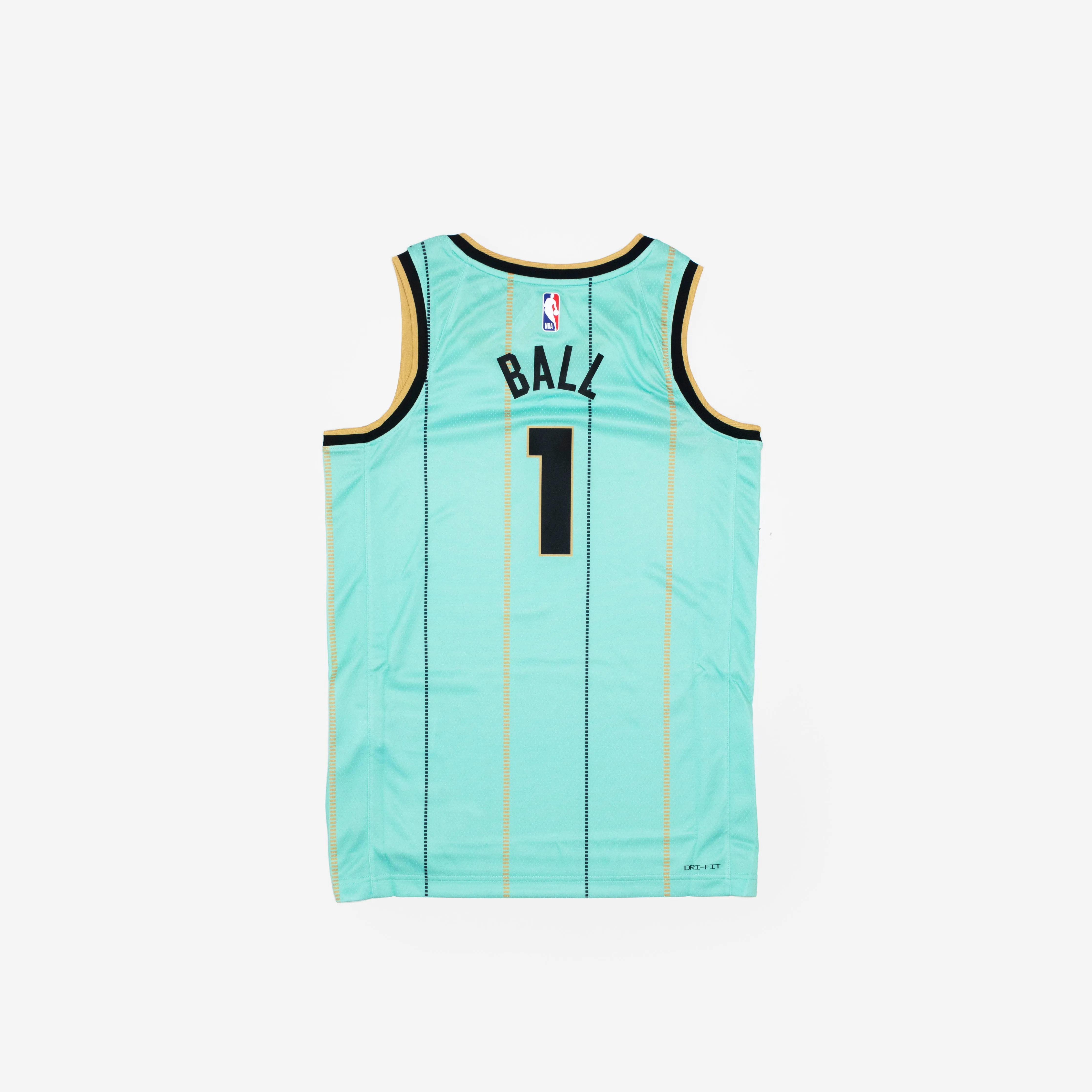 Charlotte Hornets Swingman Jersey 24