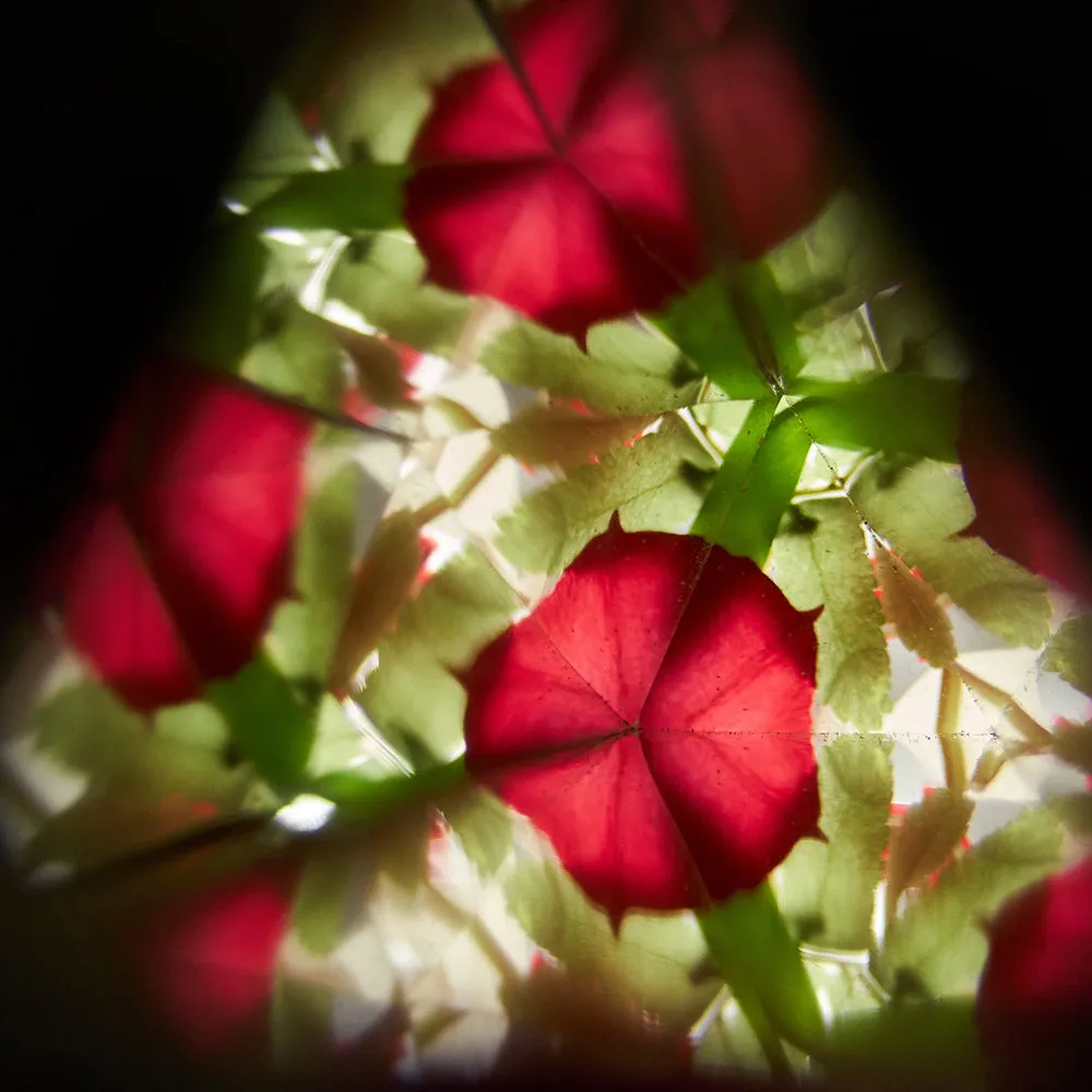 Eco-Friendly Wooden Kaleidoscope