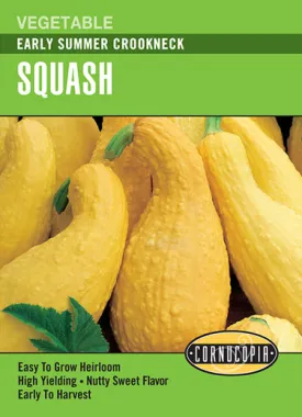 Heirloom Summer Squash, Early Summer Crookneck