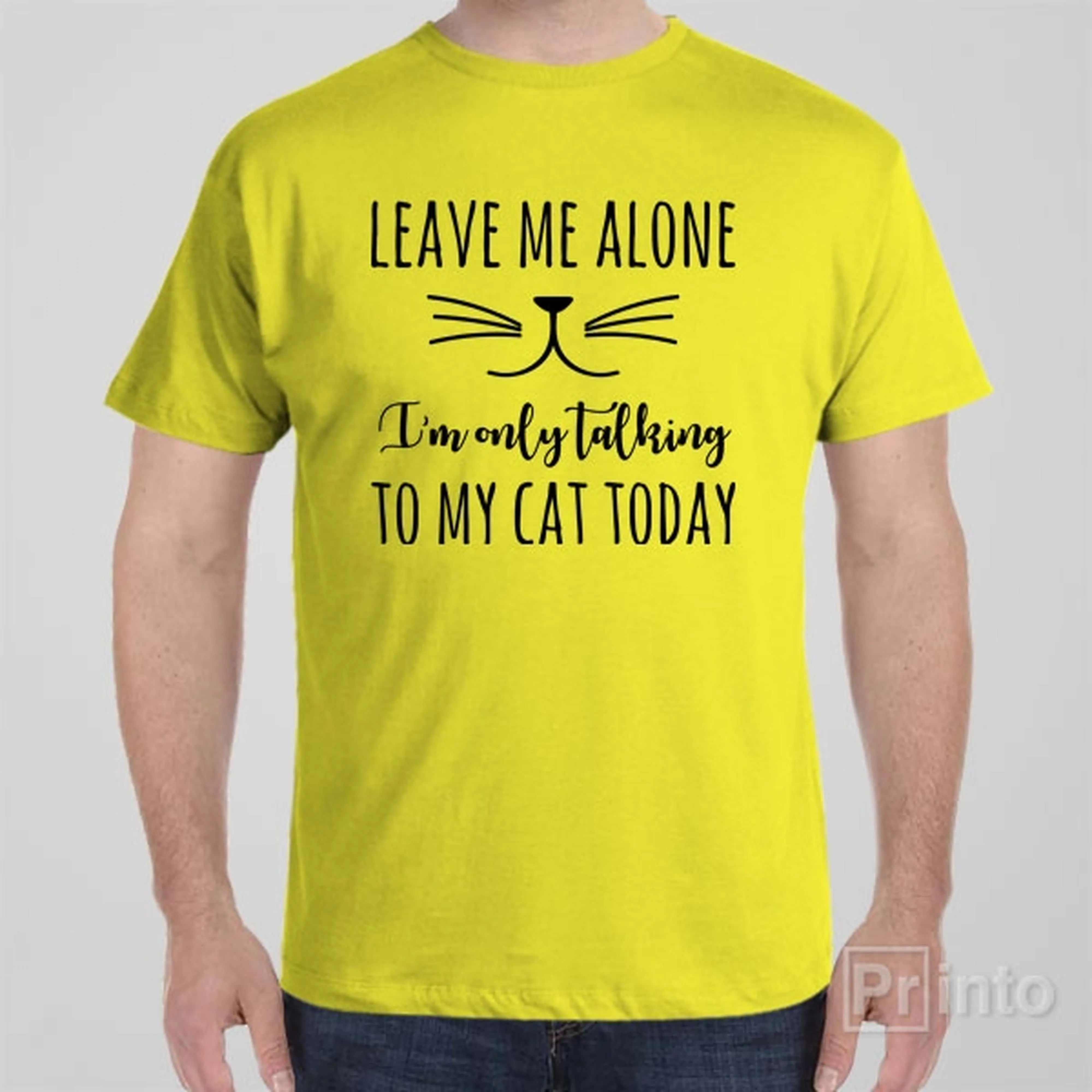 Leave me alone, I'm only talking to my cat - T-shirt