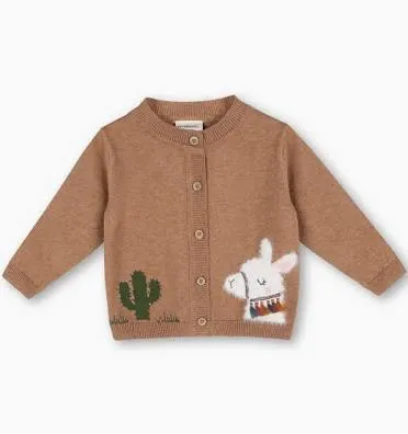 Llama Cactus Baby Sweater