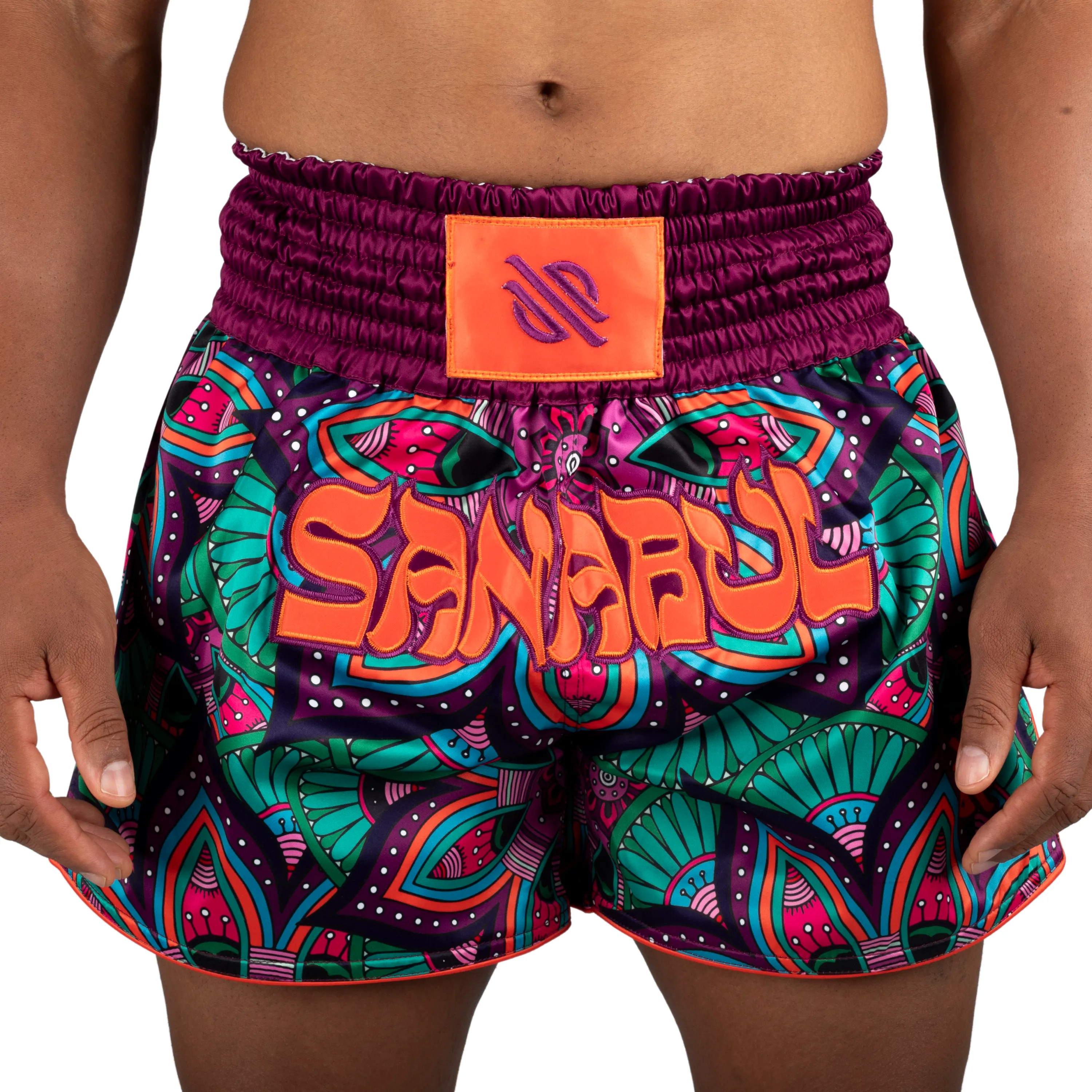 Psychedelic Paisley Muay Thai Shorts