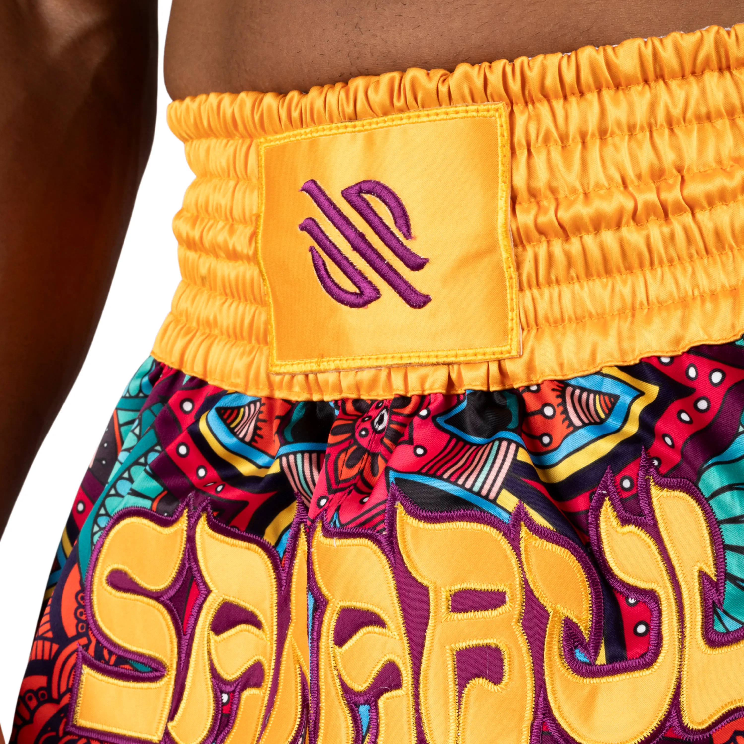 Psychedelic Paisley Muay Thai Shorts