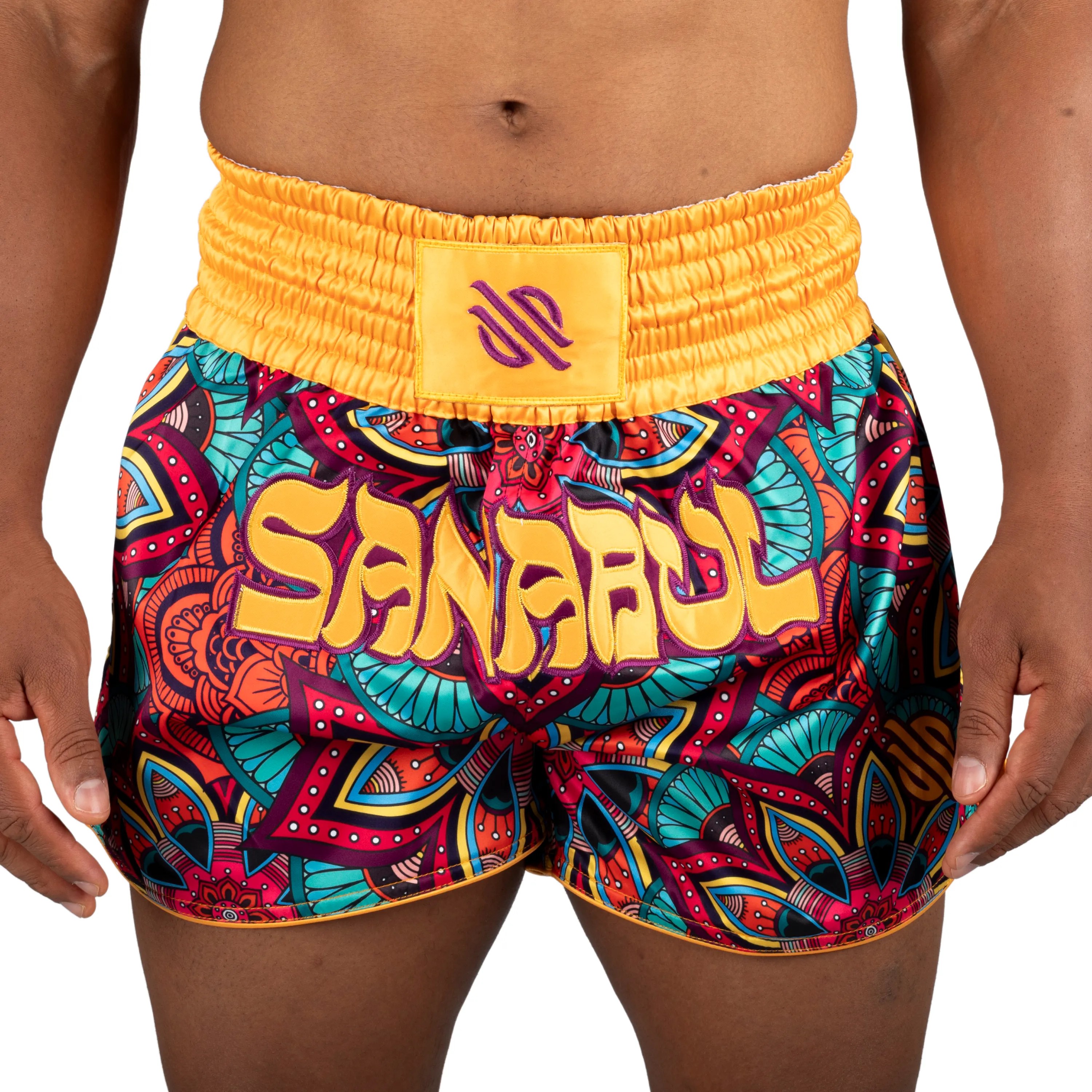 Psychedelic Paisley Muay Thai Shorts